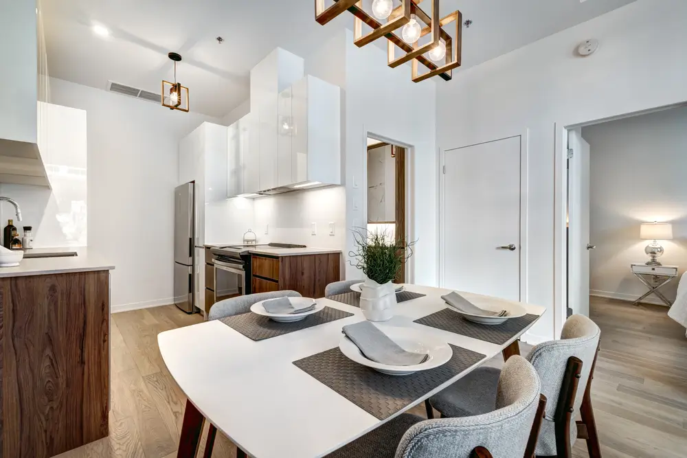 Appartement neuf de luxe meublé et aménagé dans un style canadien, avec vue sur l'extérieur, dans un immeuble offrant une vue dégagée.